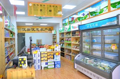江門首家綠色有機食品連鎖店『大岍農』 引領健康生活新風尚